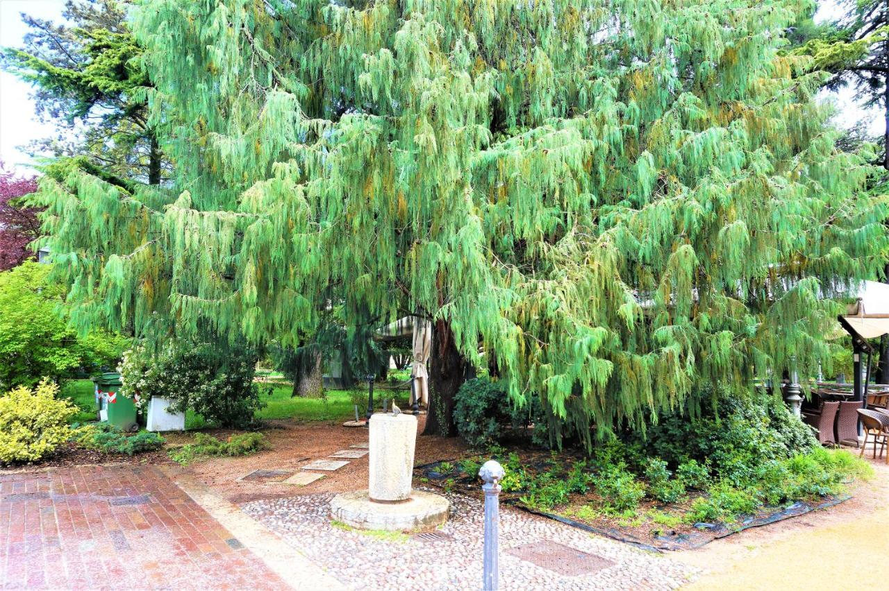 ארקו Villa Principessa Deluxe מראה חיצוני תמונה